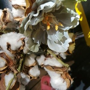 Meet your Posher, Hailey